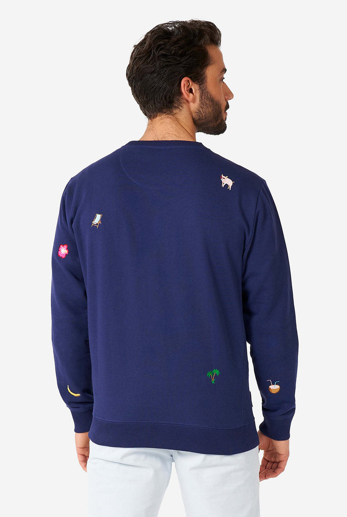 Man draagt ​​een blauwe trui met zomerpictogrammen, bekijk vanaf de achterkant