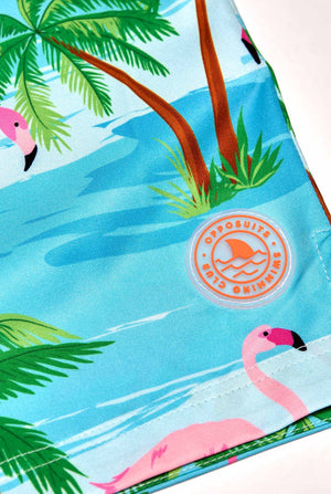 Flaminguy zwembroek voor heren, close-up