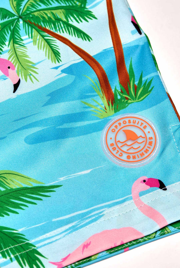 Flaminguy zwembroek voor heren, close-up