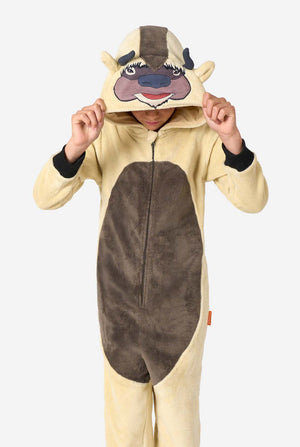 Kind draagt Avatar Appa onesie