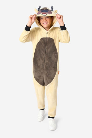 Kind draagt Avatar Appa onesie
