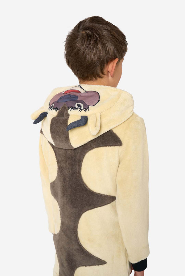 Kind draagt Avatar Appa onesie