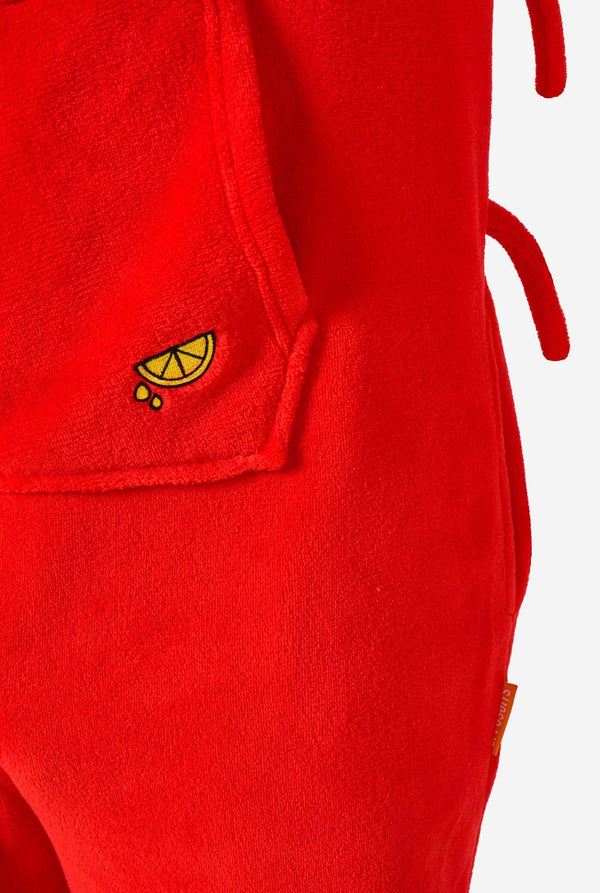 Een kind draagt ​​een felrode kinderonesie met kreeftenthema, speelse capuchondetails en gezellig, zacht materiaal. Close-up.