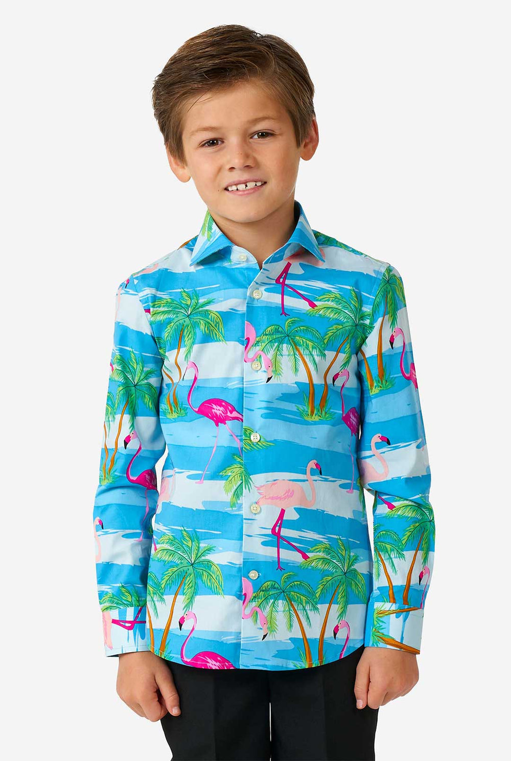 Jongen die jongens shirt met lange mouwen draagt ​​met zomerse flamingo -print