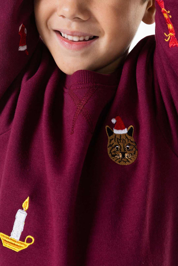 Kind draagt ​​bordeauxrode rode kersttrui met kerstpictogrammen, close -up