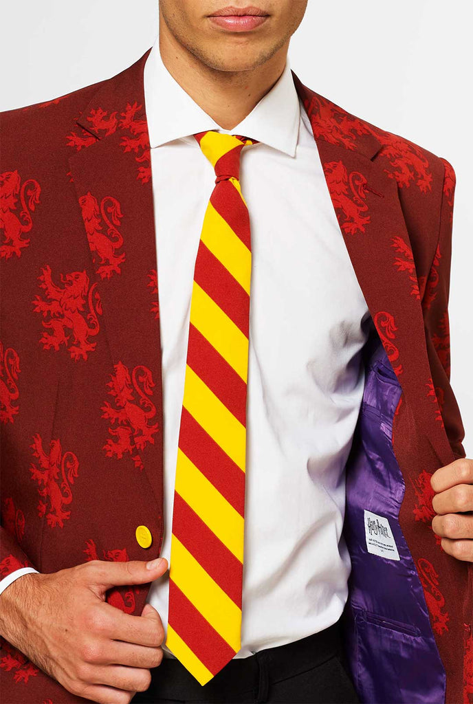 Harry Potter Red Griffindor -pak gedragen door de mens met een jas