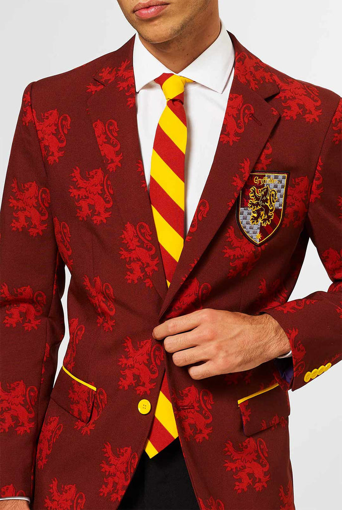 Harry Potter Red Griffindor -pak gedragen door de mens
